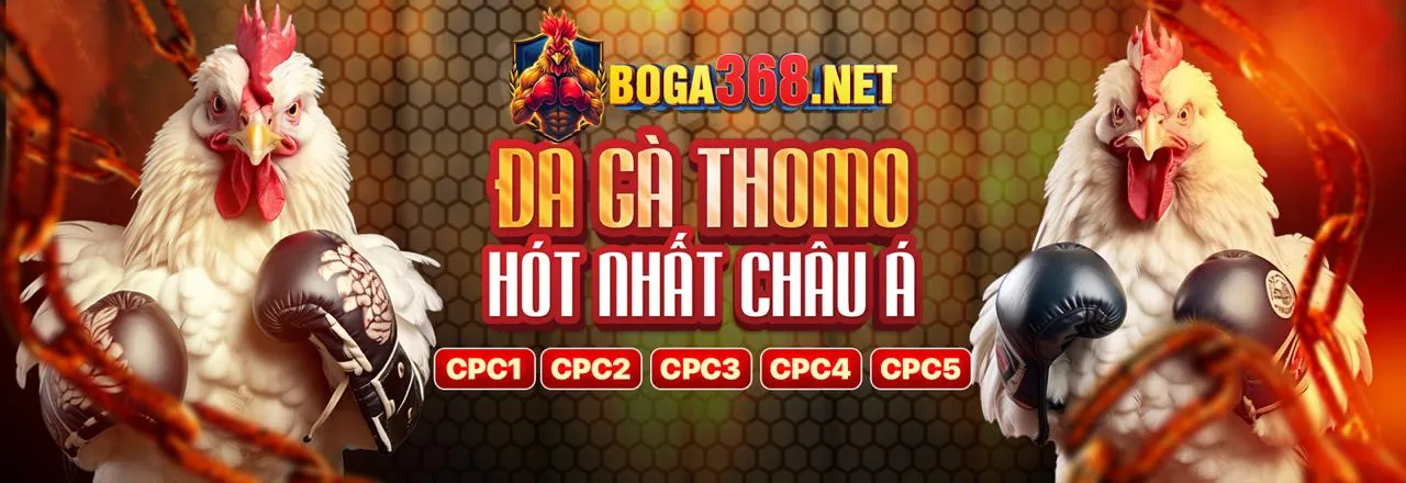 Đội ngũ hỗ trợ khách hàng chuyên nghiệp zingmewin