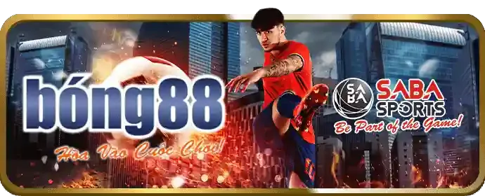Mẹo cá cược thể thao zingmewin